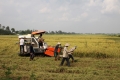 Tăng tốc tái cơ cấu ngành nông nghiệp ĐBSCLTháo “nút thắt” về vốn