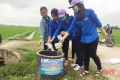 Hà Tĩnh triển khai chương trình "chống rác thải nhựa" trên toàn địa bàn