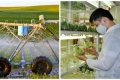 Nông nghiệp ứng dụng công nghệ cao nâng cao chất lượng và an toàn