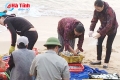 Các mẫu hải sản ở Hà Tĩnh vẫn an toàn