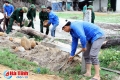 Chung tay xây dựng nông thôn mới ở Thạch Hà