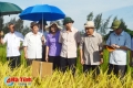Đoàn cán bộ cựu lãnh đạo tỉnh tham quan quy trình sản xuất giống lúa
