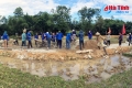 Đoàn viên thanh niên Hà Tĩnh hăng hái xây dựng NTM ở Vũ Quang