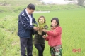 Chủ tịch UBND tỉnh Hà Tĩnh chỉ đạo phòng trừ bệnh đạo ôn gây hại lúa xuân
