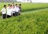 Nông nghiệp, nông dân, nông thôn Hà Tĩnh sau 5 năm thực hiện Nghị quyết Trung ương 7 (khóa X)