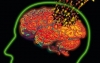 Tạo tế bào não từ da