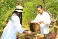 Nuôi ong vùng trà sơn Can Lộc - chờ cơ hội mới từ Farmstay