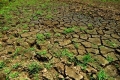 “Hạn hán ở Trung Nam Bộ là hiện tượng đã được báo trước”