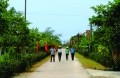 Mô hình Nông thôn mới của Việt Nam được giới thiệu tại APEC 2017