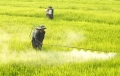"Tam nông" thời nay và làm gì với hóa chất nông nghiệp?