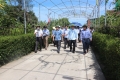 Đoàn công tác tỉnh Thái Nguyên tham quan nông thôn mới tại Hà Tĩnh