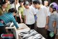 Hương Khê, Vũ Quang đã có điểm bán hải sản an toàn