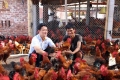 Bình chọn Sản phẩm vàng chăn nuôi gia cầm Việt Nam