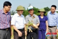 Phát triển sản phẩm nông nghiệp tiêu biểu Hà Tĩnh