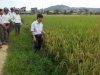 Thị xã Hồng Lĩnh tìm giải pháp phát triển sản xuất nông nghiệp theo hướng hàng hóa