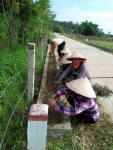 Hội viên Chi hội phụ nữ thôn 2 Bồng Giang trồng hoa dọc theo trục đường Khu dân cư kiểu mẩu.