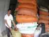 Gạo thơm VN sẽ thay thế gạo Thái Lan ở Hongkong