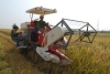 Khoa học - công nghệ thúc đẩy phát triển nông nghiệp