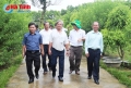Chia sẻ kinh nghiệm quý trong xây dựng NTM giữa 2 tỉnh Hà Tĩnh và Quảng Nam
