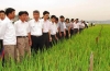 Bắc Ninh phát triển sản xuất nông nghiệp công nghệ cao