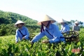 Lan tỏa thành công của dự án phát triển nông nghiệp Hà Tĩnh