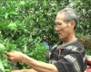 Cẩm Xuyên: Nhiều giải pháp nâng cao hiệu quả kinh tế vườn