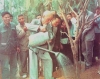 Chủ tịch Hồ Chí Minh phát động tết trồng cây mùa xuân năm 1960; ảnh: Tư liệu