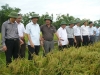 Bí thư Tỉnh ủy Nguyễn Thanh Bình kiểm tra tình hình sản xuất đông xuân