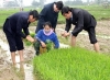 Bí thư Tỉnh ủy Nguyễn Thanh Bình xuống đồng kiểm tra giống mạ cho sản xuất