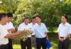 Hương Sơn: Hội thảo xây dựng mô hình vườn mẫu và sản xuất nông nghiệp hữu cơ.
