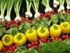 Mỹ tăng nhập khẩu các loại rau, quả tươi Việt Nam