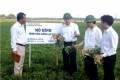 Xây dựng nông thôn mới ở Hà Tĩnh: Điều kỳ diệu đến từ những giọt mồ hôi