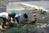 Hà Tĩnh: Triển khai Đề án nuôi trồng thủy sản năm 2013