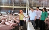 Tập trung phát triển sản xuất sản phẩm hàng hóa nông nghiệp chủ lực theo liên kết vùng các xã ven biển huyện Lộc Hà