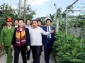 Chủ tịch Quốc hội Nguyễn Thị Kim Ngân tặng quà chúc tết, thăm khu dân cư NTM kiểu mẫu thôn Vĩnh An, thôn Châu Nội