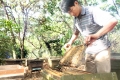 Vũ Quang: Tổng đàn ong 5000 đàn