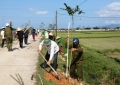 Công ty cổ phần Tư vấn và Xây dựng công trình Miền Trung hỗ trợ 3.250 cây xanh các loại cho xã Phù Việt