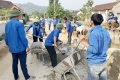 Can Lộc: Hơn 700 ĐVTN tham gia hưởng ứng đợt thi đua “60 ngày cao điểm xây dựng nông thôn mới”