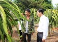 Cẩm Quang, Thiên Lộc: Cần hoàn thiện nâng cấp các tiêu chí nông thôn mới