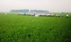 Xây dựng “cánh đồng mẫu lớn”: Nhìn từ Nam Định, nghĩ về tỉnh ta