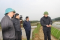 Kiểm tra công tác phòng chống rét cho cây trồng, vật nuôi tại xã Hương Minh