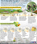 [Infographic] Tiêu chí xác định chương trình, dự án nông nghiệp công nghệ cao và nông nghiệp sạch