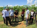 Lãnh đạo huyện Vũ Quang nói chuyện với các hộ dân trồng chanh leo tại xã Hương Điền