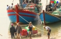 Kỳ Ninh khôi phục sản xuất, thu mua thủy hải sản, chế biến nước mắm
