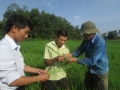Cán bộ Trung tâm ứng dụng KHKT và BVCTVN huyện hướng dẫn nhân dân xã Hương Minh cách phòng trừ sâu bệnh hại lúa Hè Thu