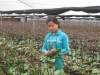 Phát triển KHCN nông nghiệp theo hướng nâng cao giá trị gia tăng Ảnh: Thiên Tú