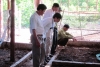 Mô hình nuôi giun quế tại Ban quản lý rừng phòng hộ Cẩm Xuyên