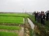 Đồng chí Võ Kim Cự, Phó bí thư tỉnh uỷ, Chủ tịch UBND tỉnh cùng đoàn công tác kiểm tra vùng sản xuất lúa giống BTE1