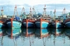 Tăng cường quản lý vận hành cảng cá, khu neo đậu tránh trú bão