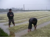 Ngành nông nghiệp Hà Tĩnh chủ động ứng phó với biến đổi khí hậu